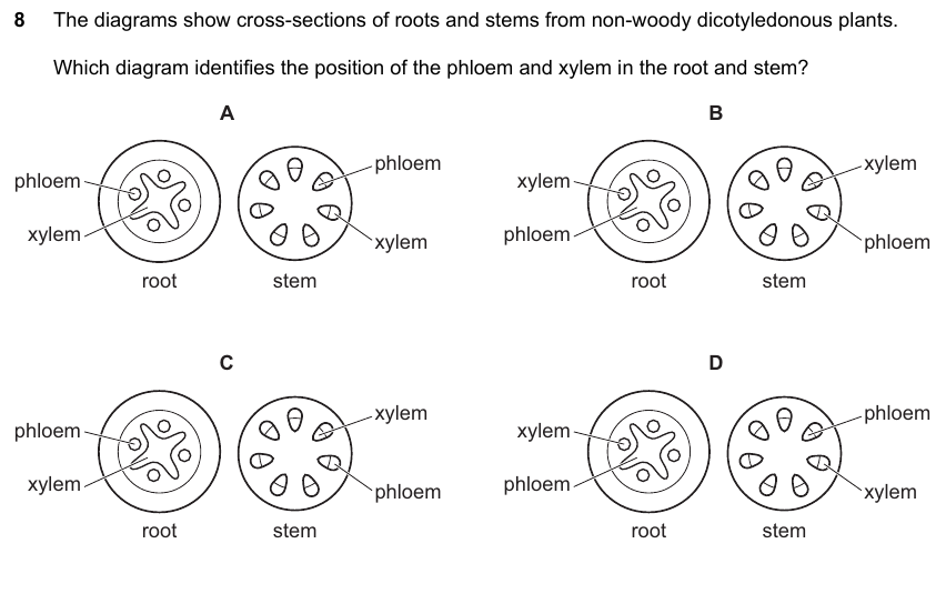 IGCSE 0653 May/Jun 2025 Paper 12 Q8 — Reproduction
