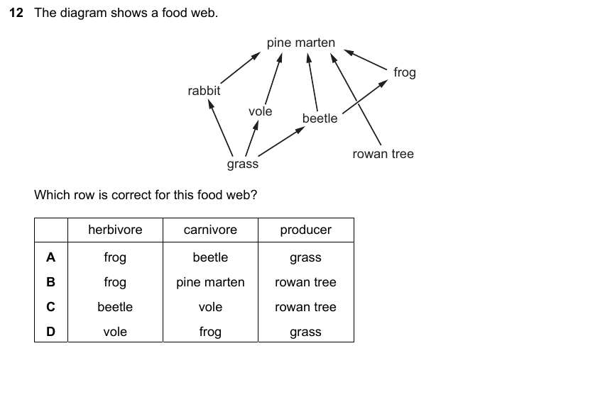 IGCSE 0653 May/Jun 2025 Paper 13 Q12 — Reproduction