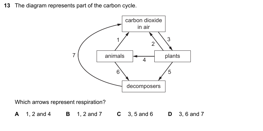 IGCSE 0653 May/Jun 2025 Paper 13 Q13 — Gas Exchange & Respiration