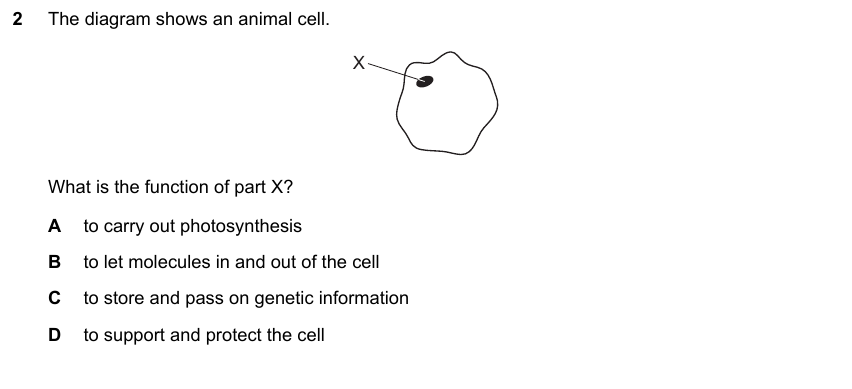 IGCSE 0653 May/Jun 2025 Paper 13 Q2 — Excretion
