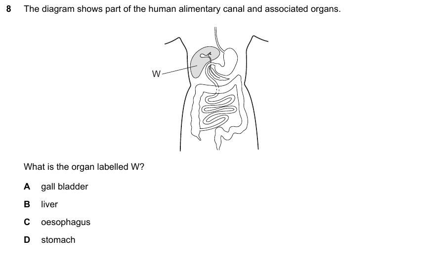 IGCSE 0653 May/Jun 2025 Paper 13 Q8 — Human Nutrition