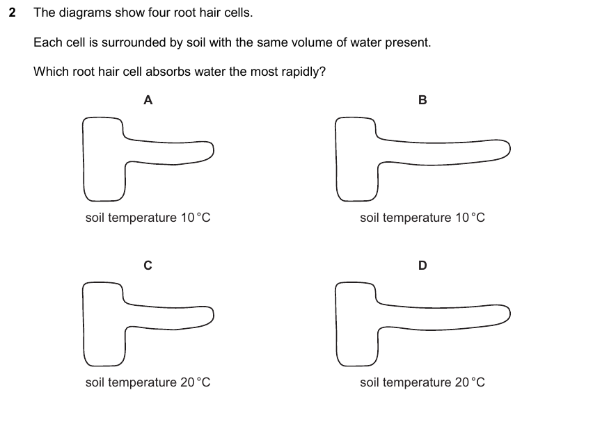 IGCSE 0653 May/Jun 2025 Paper 21 Q2 — Transport in Plants