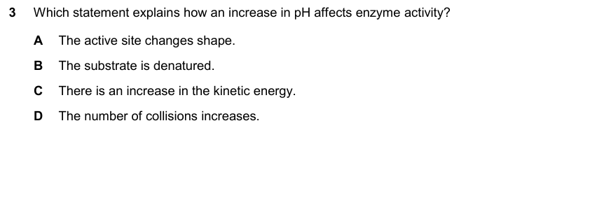 IGCSE 0653 May/Jun 2025 Paper 21 Q3 — Transport in Plants