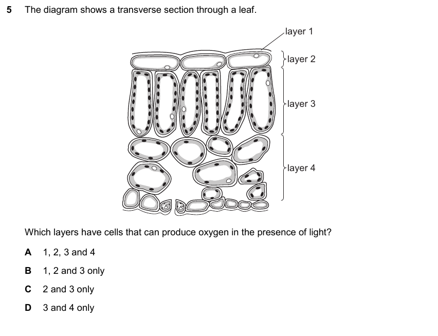 IGCSE 0653 May/Jun 2025 Paper 21 Q5 — Human Nutrition