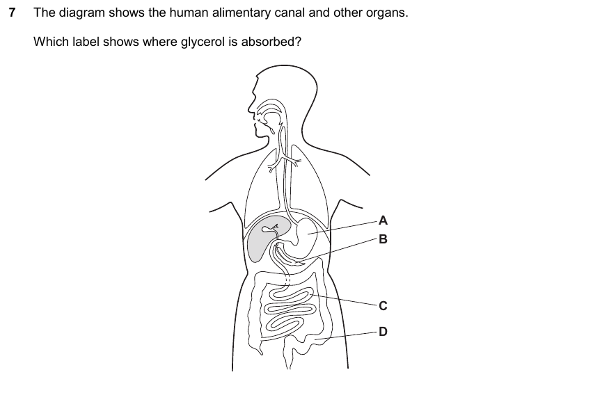 IGCSE 0653 May/Jun 2025 Paper 21 Q7 — Reproduction