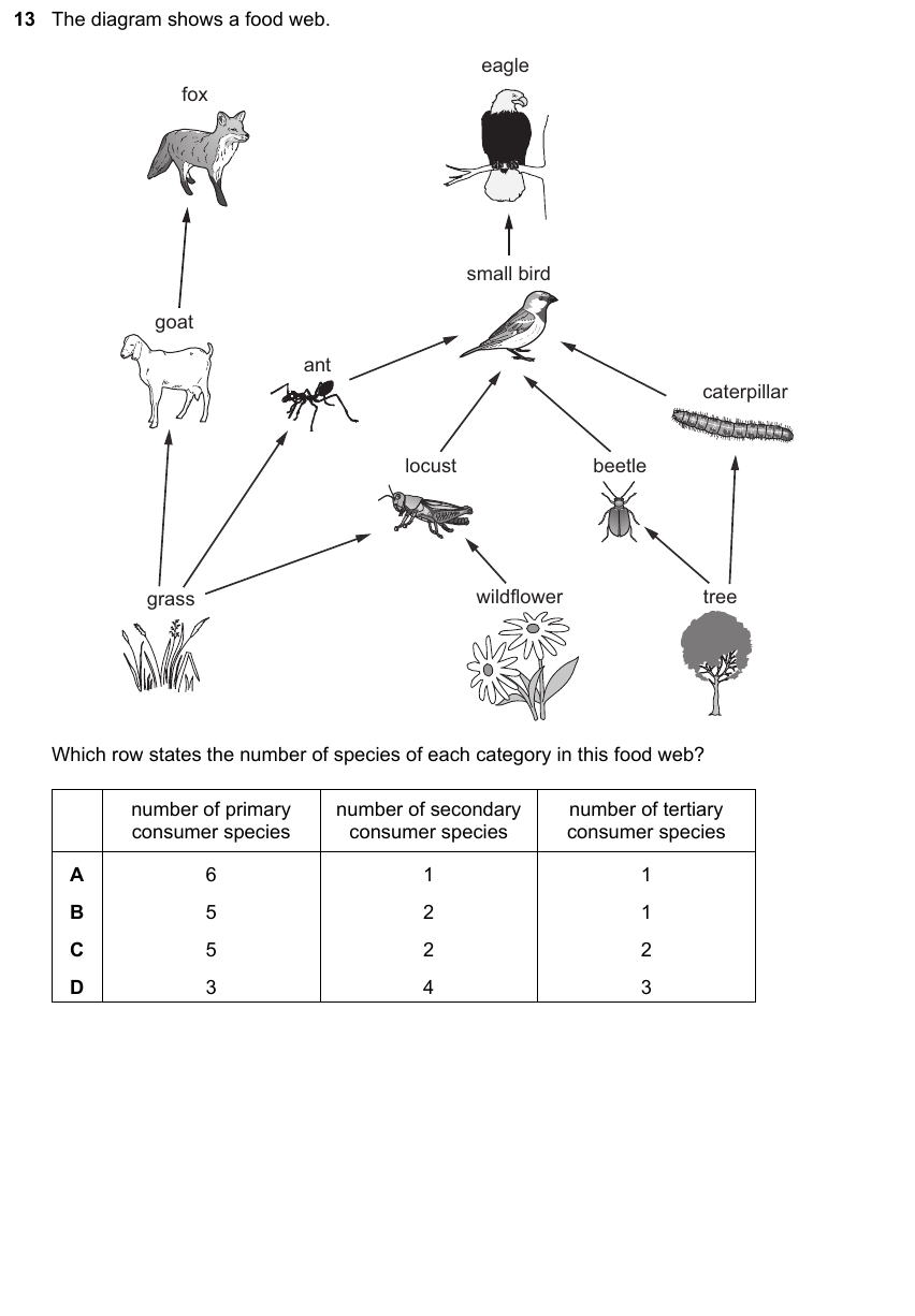IGCSE 0653 May/Jun 2025 Paper 22 Q13 — Organisms & Environment