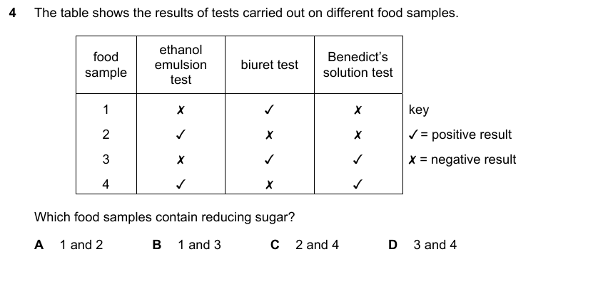 IGCSE 0653 May/Jun 2025 Paper 22 Q4 — Enzymes