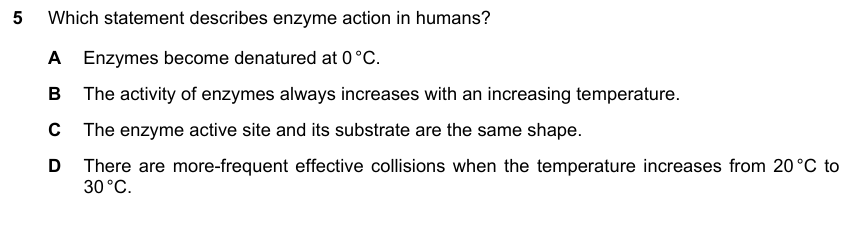 IGCSE 0653 May/Jun 2025 Paper 22 Q5 — Enzymes