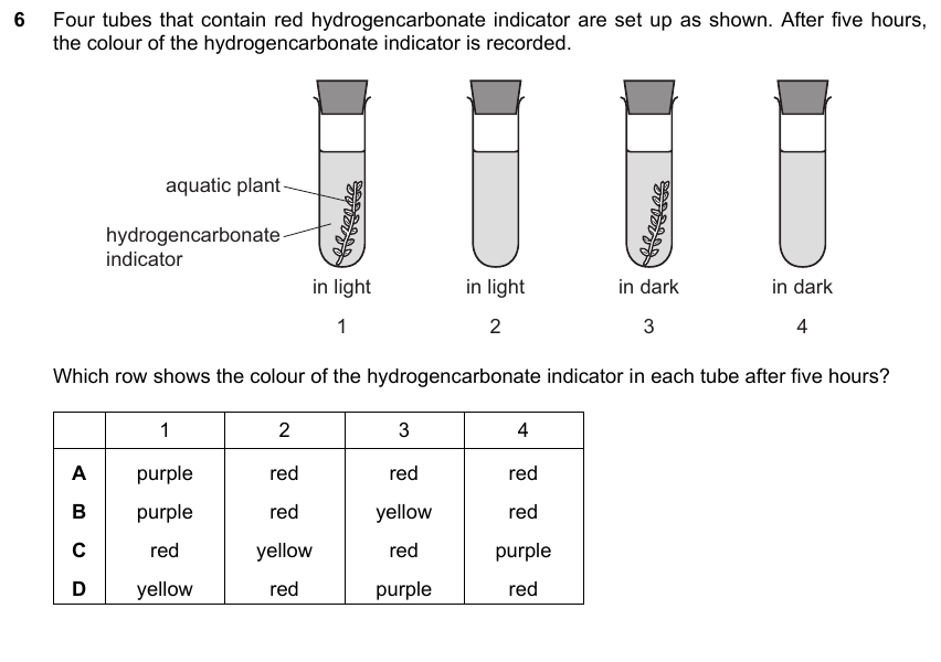 IGCSE 0653 May/Jun 2025 Paper 22 Q6 — Transport in Plants
