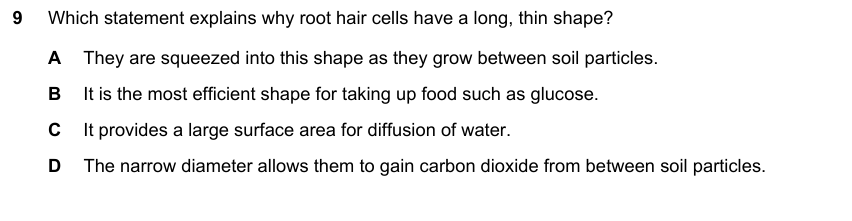 IGCSE 0653 May/Jun 2025 Paper 22 Q9 — Transport in Plants