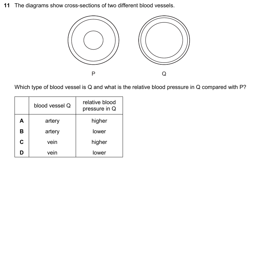 IGCSE 0653 May/Jun 2025 Paper 23 Q11 — Transport in Animals