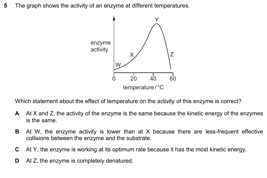 IGCSE 0653 May/Jun 2025 Paper 23 Q5 — Enzymes