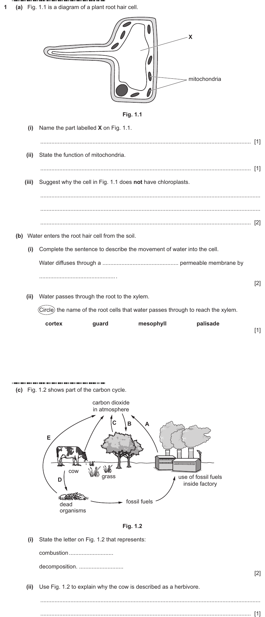 IGCSE 0653 May/Jun 2025 Paper 31 Q1 — Cells & Organisation
