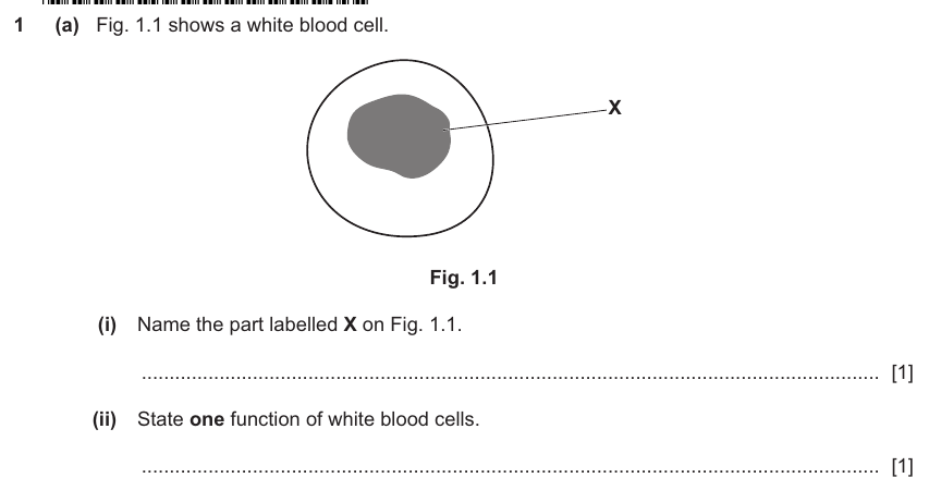 IGCSE 0653 May/Jun 2025 Paper 32 Q1 — Cells & Organisation