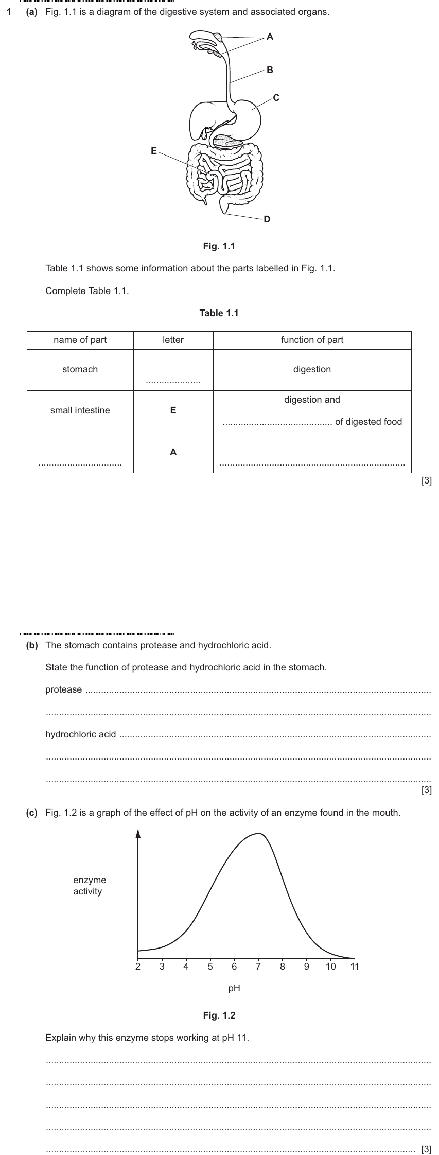 IGCSE 0653 May/Jun 2025 Paper 42 Q1 — Human Nutrition