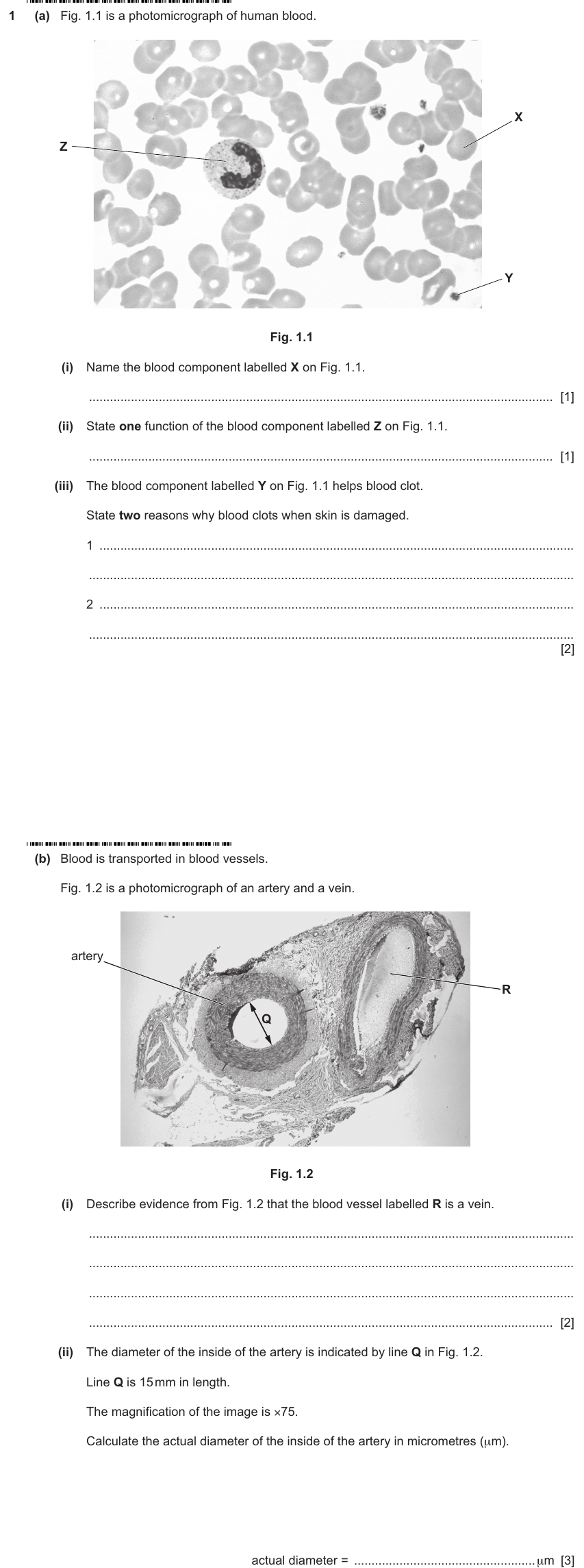 IGCSE 0653 May/Jun 2025 Paper 43 Q1 — Transport in Animals