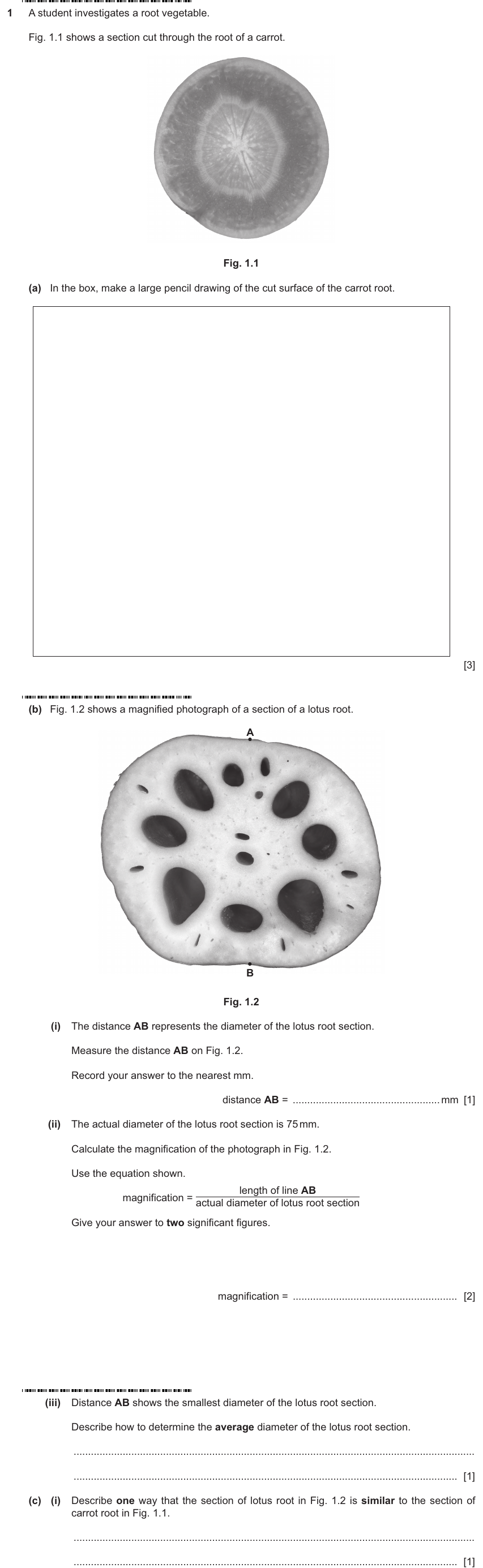 IGCSE 0653 May/Jun 2025 Paper 62 Q1 — Biological Molecules