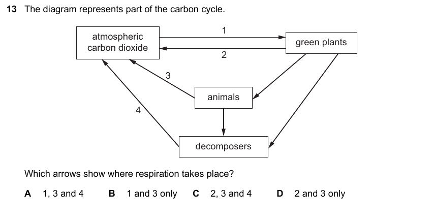 IGCSE 0653 Oct/Nov 2023 Paper 11 Q13 — Gas Exchange & Respiration