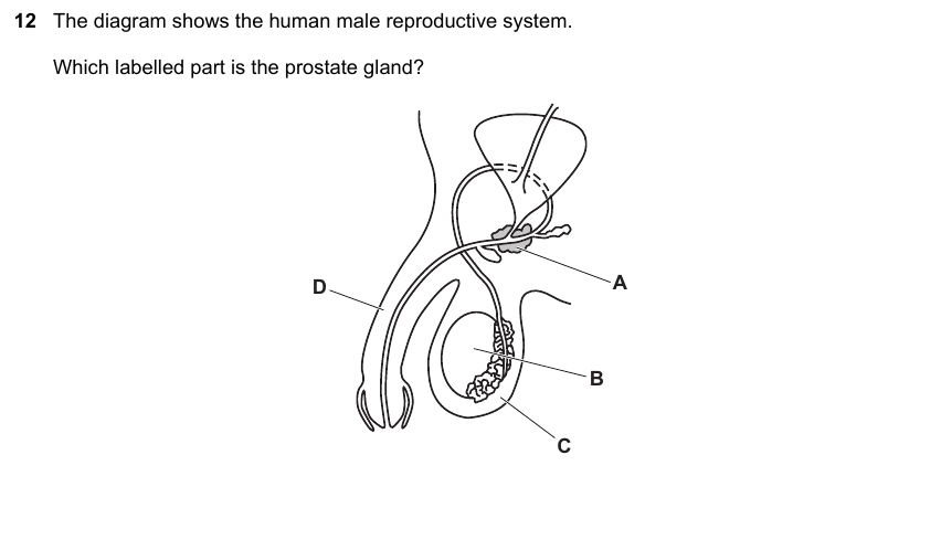 IGCSE 0653 Oct/Nov 2023 Paper 12 Q12 — Reproduction