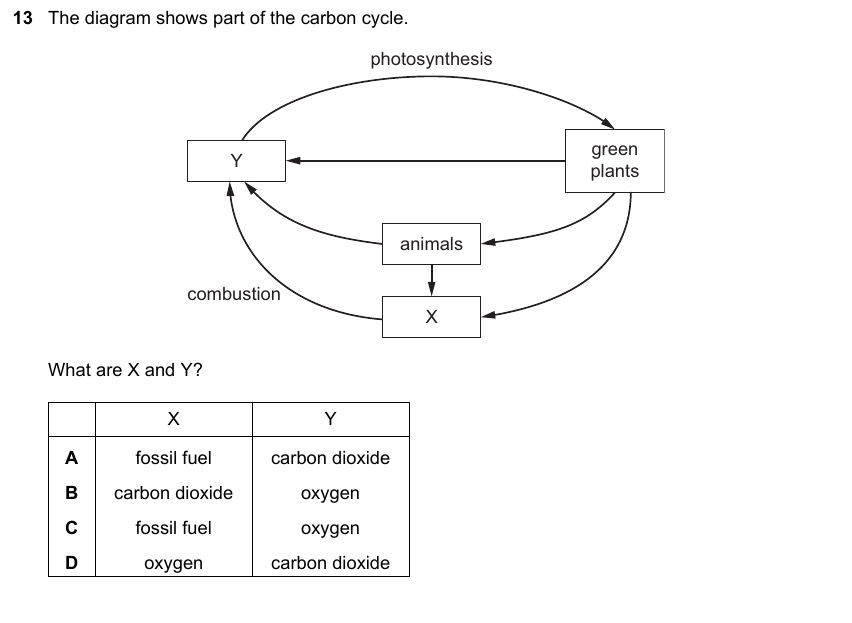 IGCSE 0653 Oct/Nov 2023 Paper 21 Q13 — Variation & Selection