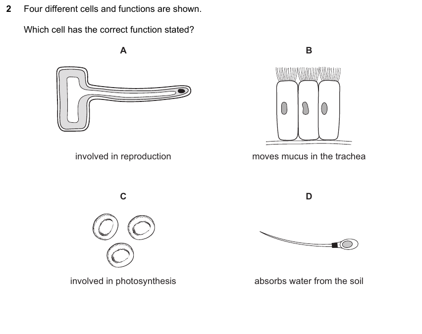 IGCSE 0653 Oct/Nov 2023 Paper 21 Q2 — Excretion