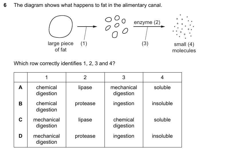 IGCSE 0653 Oct/Nov 2023 Paper 21 Q6 — Transport in Animals