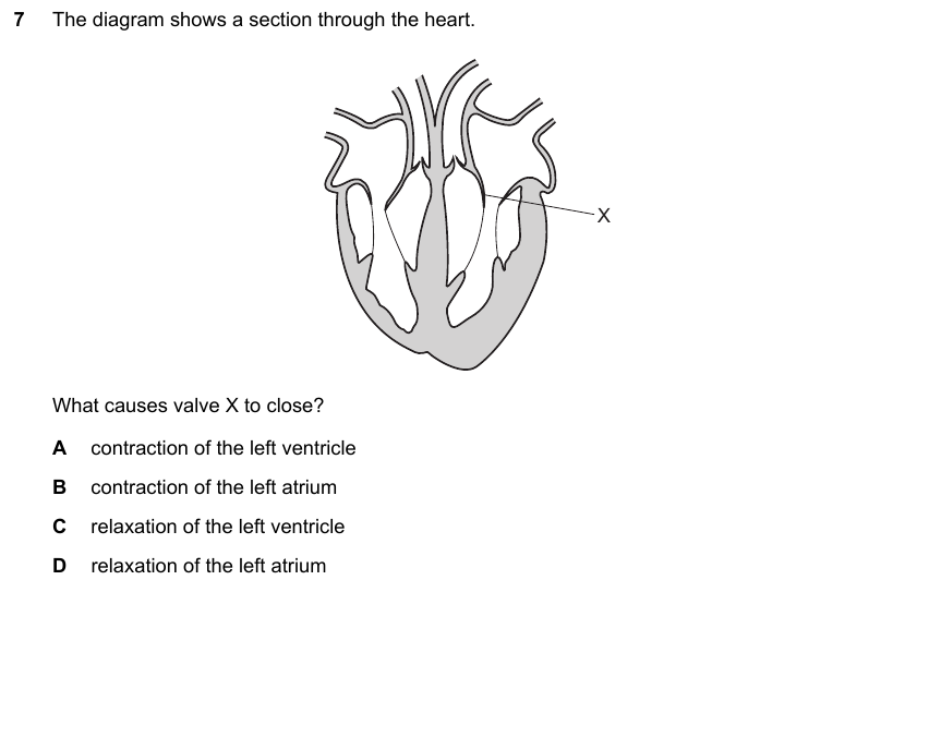 IGCSE 0653 Oct/Nov 2023 Paper 21 Q7 — Variation & Selection