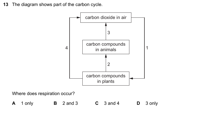 IGCSE 0653 Oct/Nov 2023 Paper 22 Q13 — Reproduction