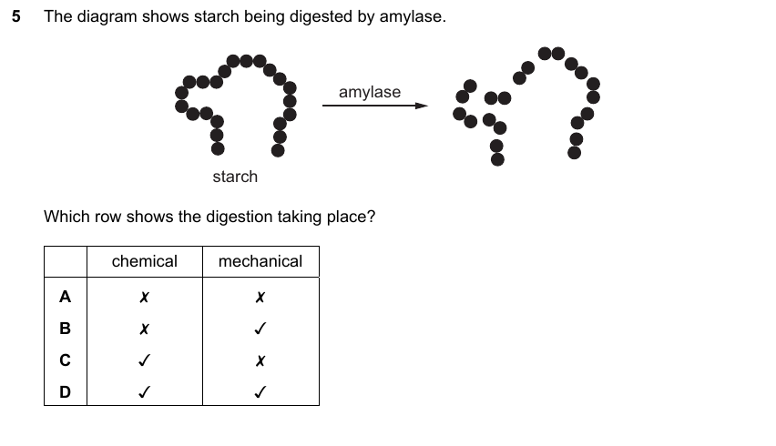 IGCSE 0653 Oct/Nov 2023 Paper 22 Q5 — Gas Exchange & Respiration