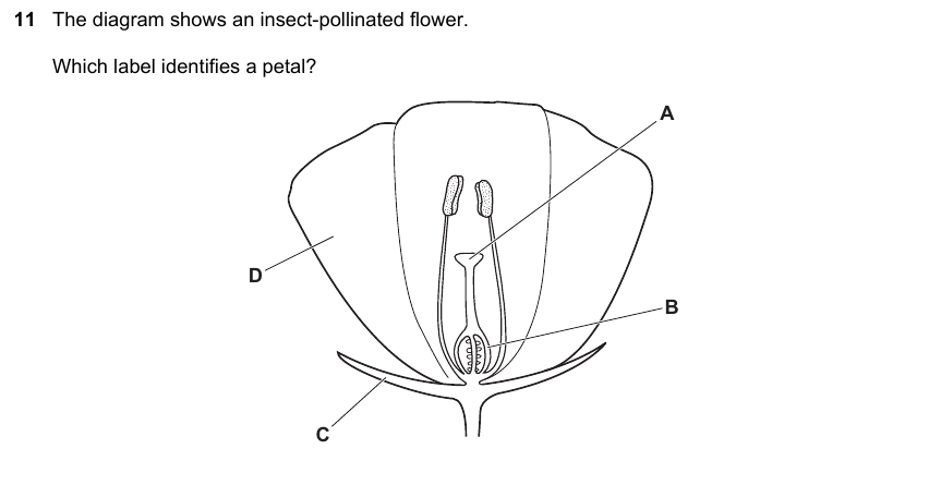 IGCSE 0653 Oct/Nov 2023 Paper 23 Q11 — Variation & Selection
