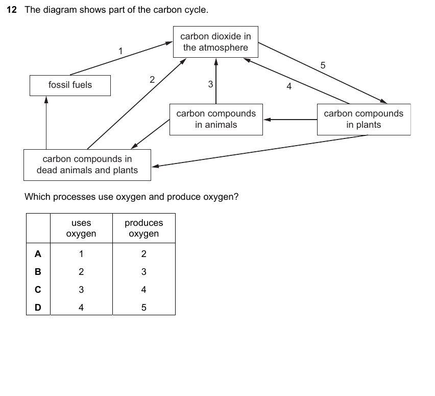 IGCSE 0653 Oct/Nov 2023 Paper 23 Q12 — Variation & Selection