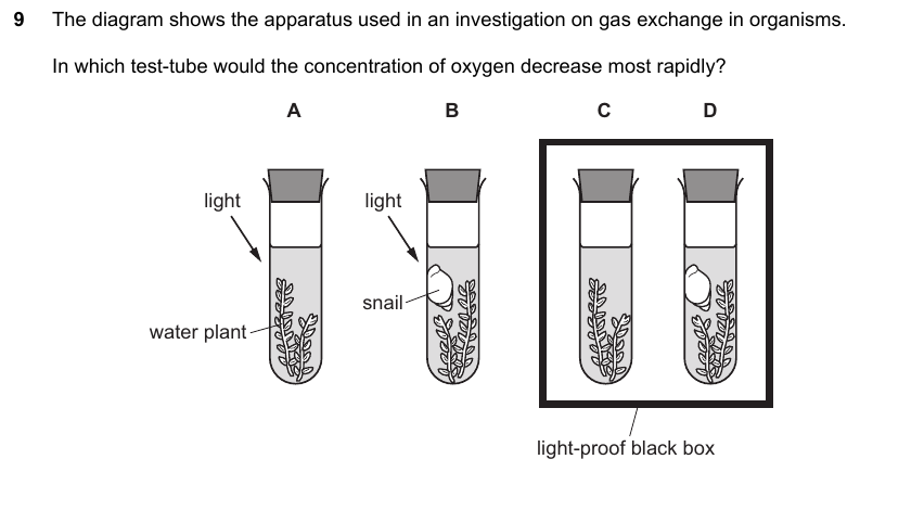 IGCSE 0653 Oct/Nov 2023 Paper 23 Q9 — Reproduction