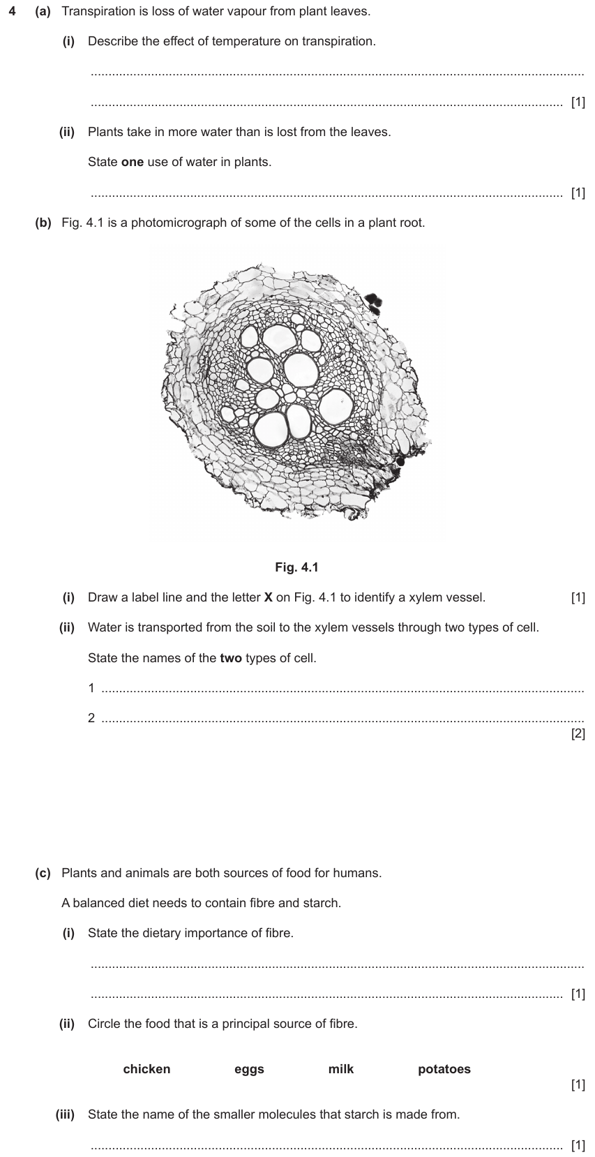 IGCSE 0653 Oct/Nov 2023 Paper 31 Q4 — Transport in Plants
