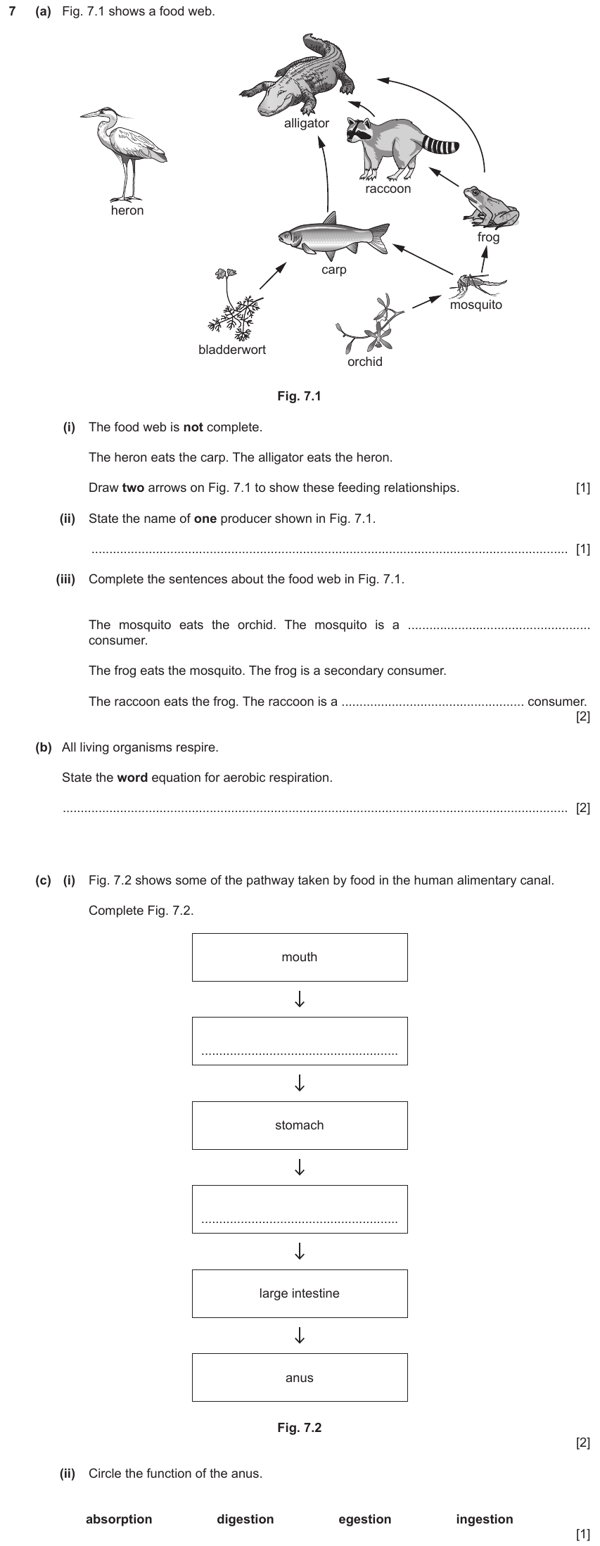 IGCSE 0653 Oct/Nov 2023 Paper 31 Q7 — Gas Exchange & Respiration