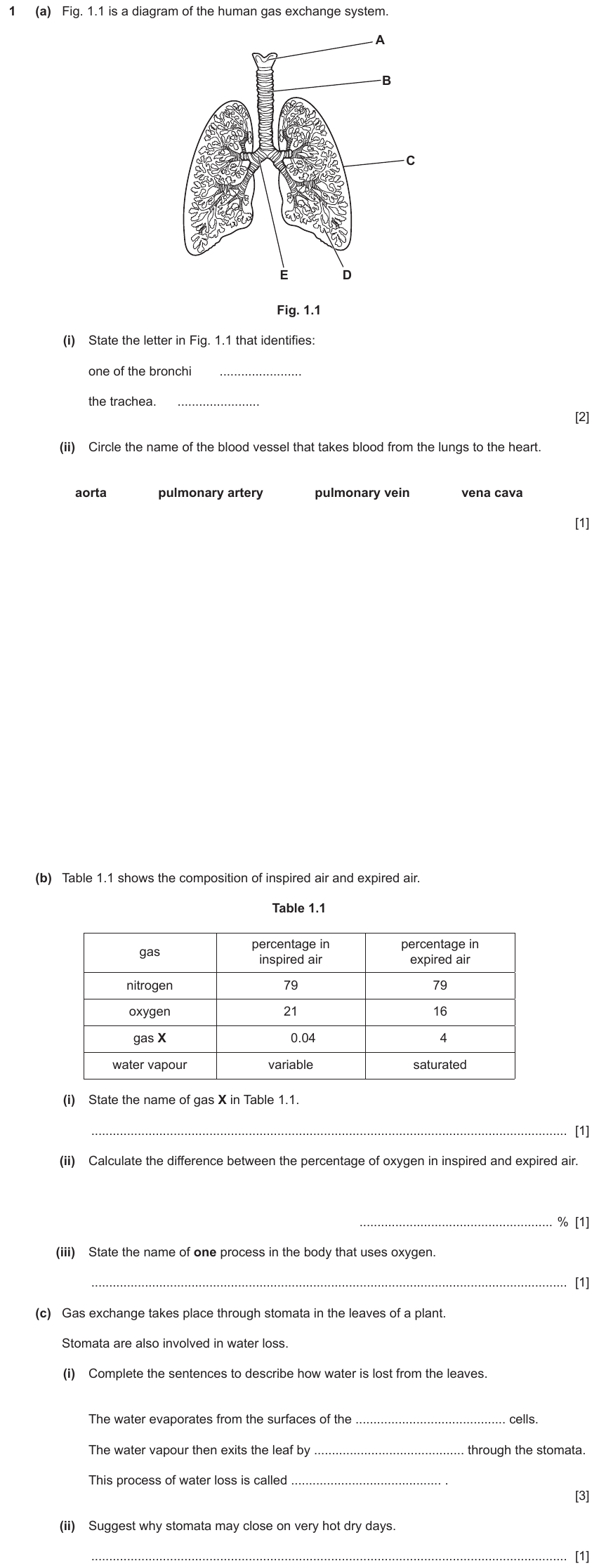 IGCSE 0653 Oct/Nov 2023 Paper 33 Q1 — Gas Exchange & Respiration