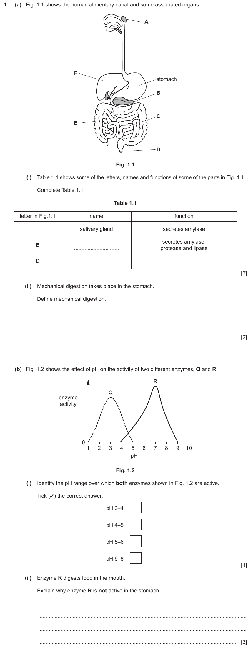 IGCSE 0653 Oct/Nov 2023 Paper 41 Q1 — Human Nutrition