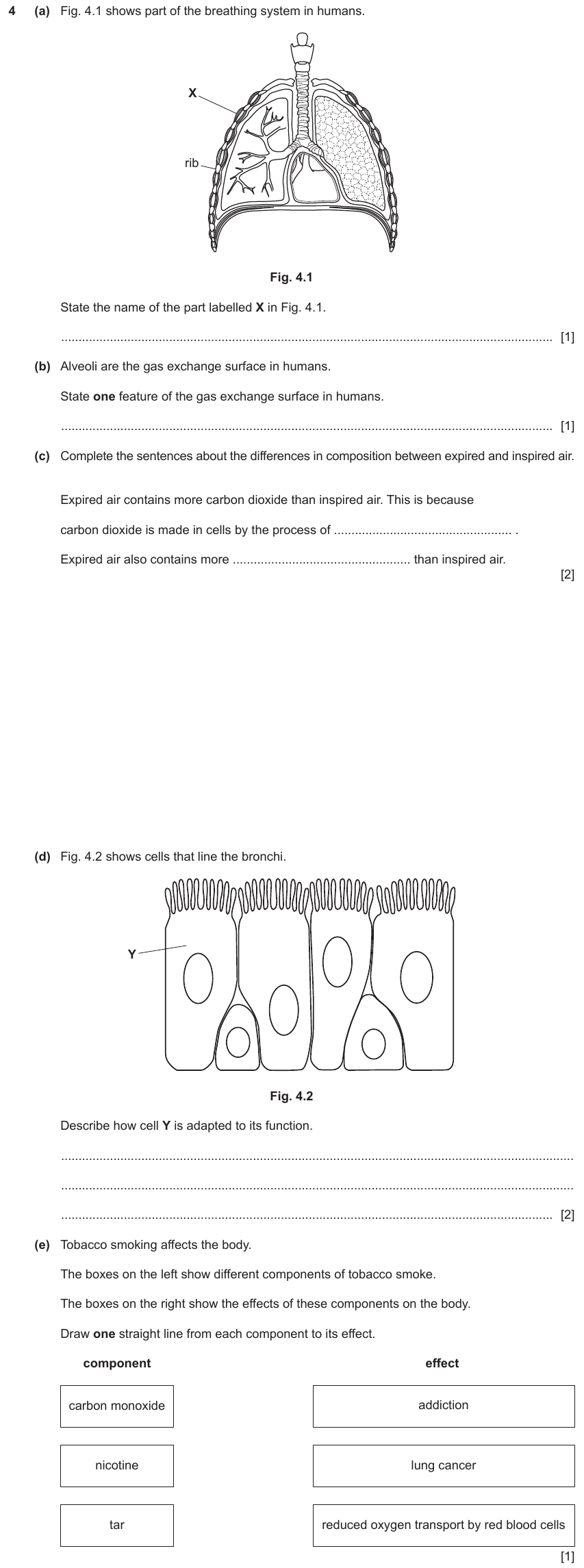IGCSE 0653 Oct/Nov 2023 Paper 41 Q4 — Gas Exchange & Respiration