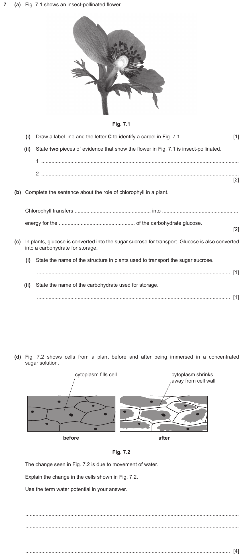 IGCSE 0653 Oct/Nov 2023 Paper 41 Q7 — Reproduction