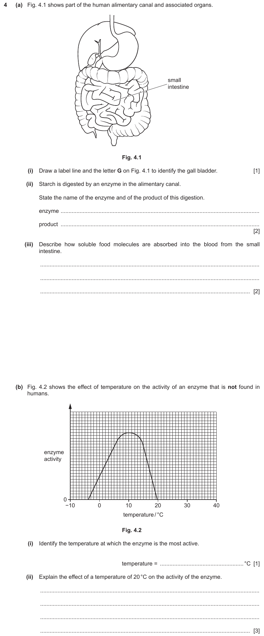 IGCSE 0653 Oct/Nov 2023 Paper 43 Q4 — Enzymes
