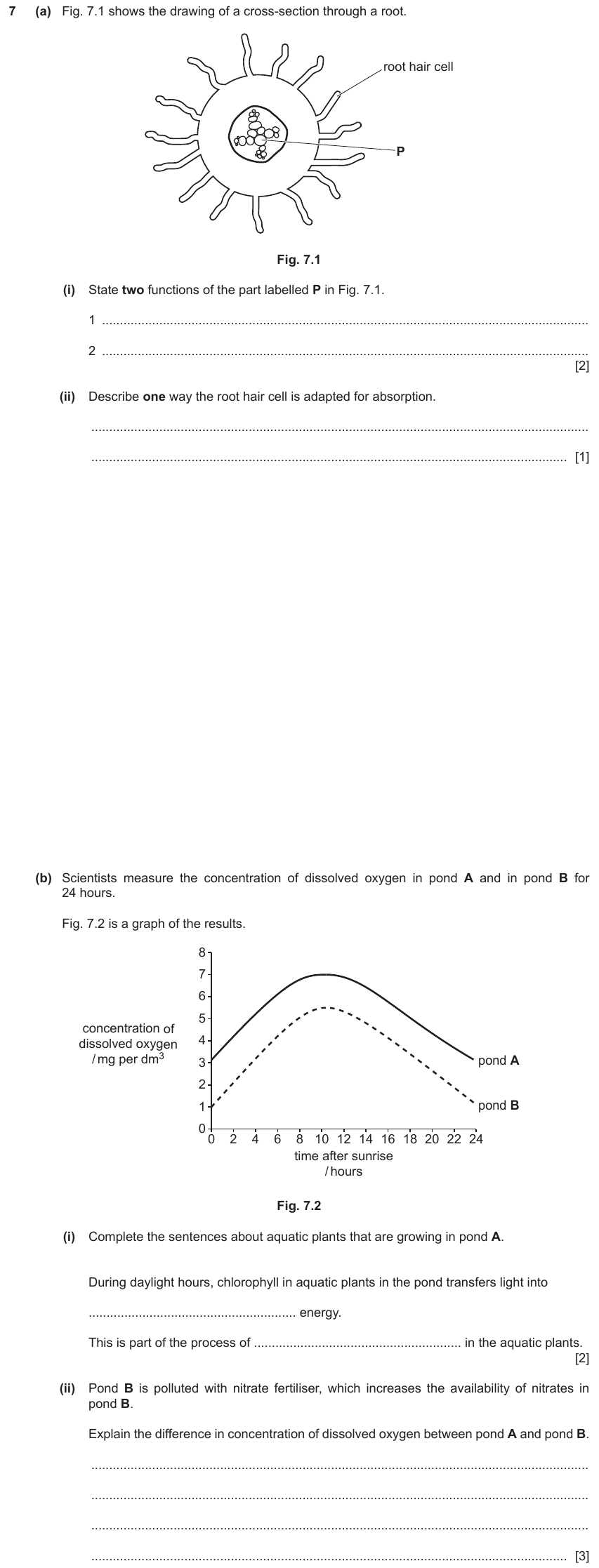 IGCSE 0653 Oct/Nov 2023 Paper 43 Q7 — Transport in Plants