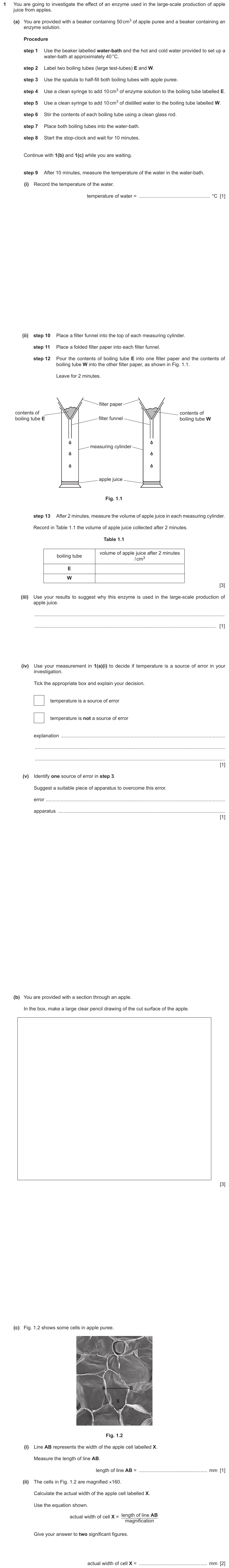IGCSE 0653 Oct/Nov 2023 Paper 51 Q1 — Enzymes