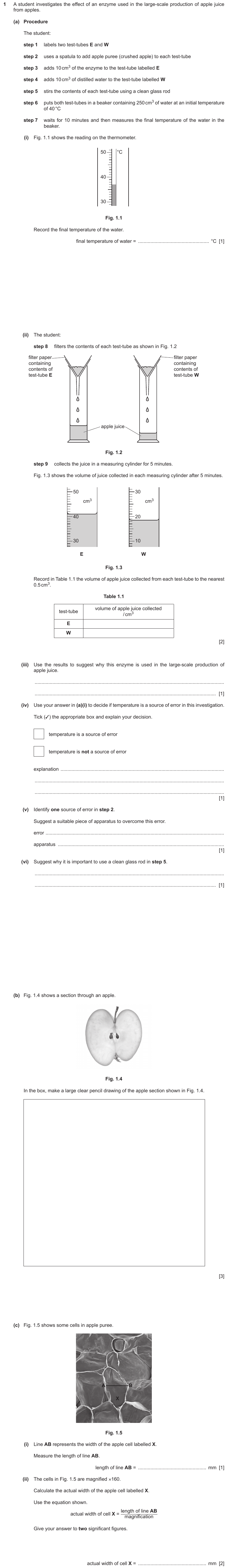 IGCSE 0653 Oct/Nov 2023 Paper 61 Q1 — Enzymes