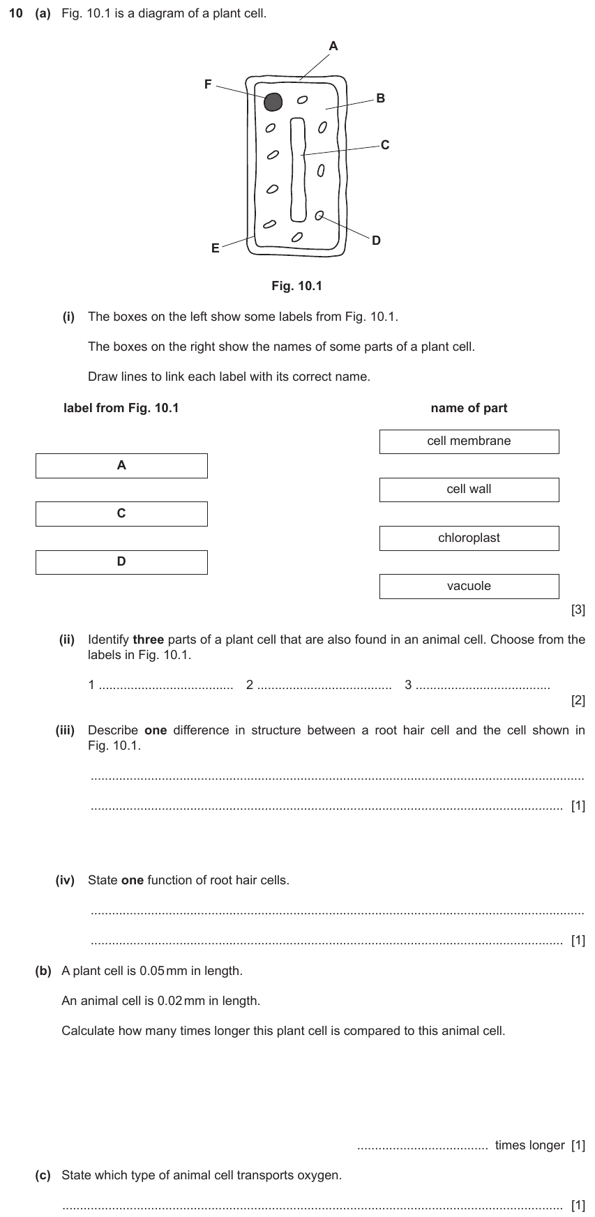 IGCSE 0654 Mar 2022 Paper 32 Question 10 — Animal & plant cell structure