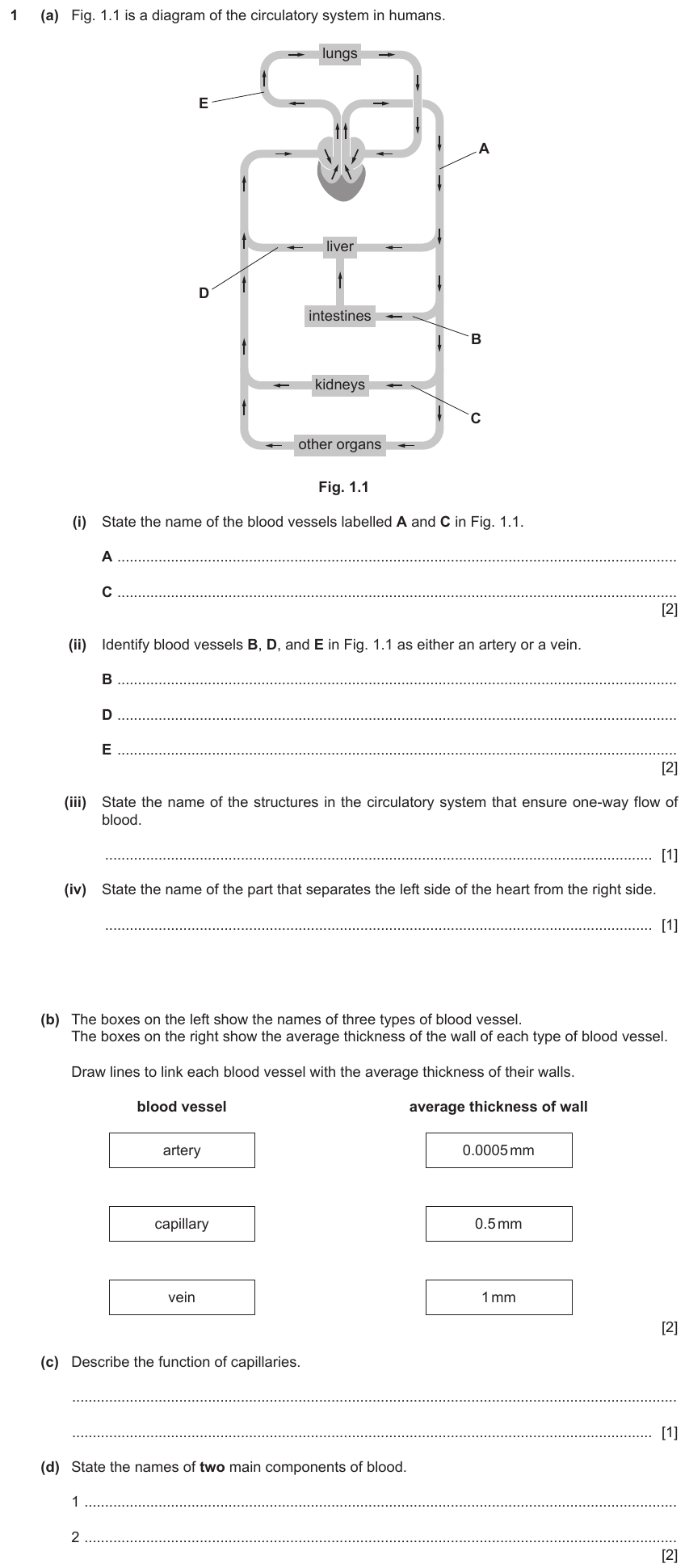 IGCSE 0654 Mar 2023 Paper 32 Question 1 — Blood vessels