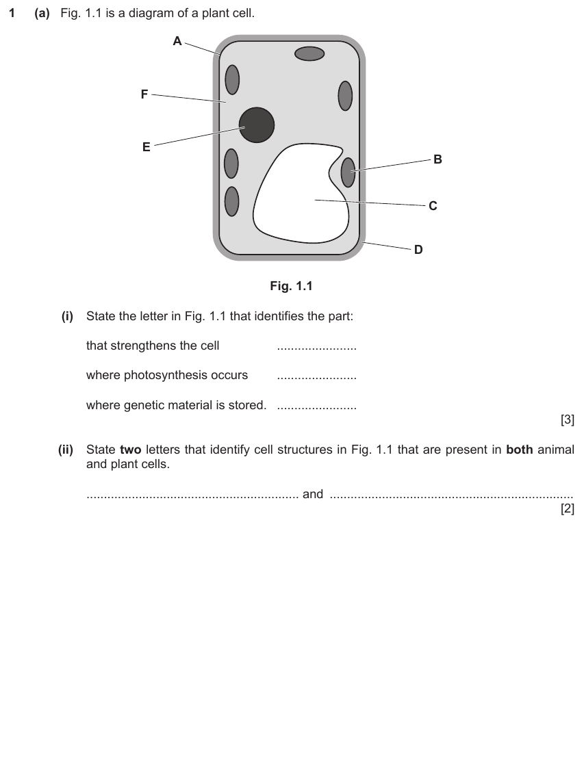 IGCSE 0654 Mar 2024 Paper 32 Question 1 — Osmosis