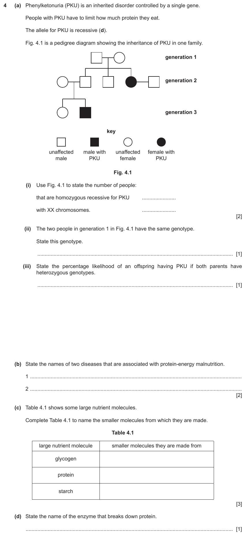 IGCSE 0654 Mar 2024 Paper 42 Question 4 — Monohybrid inheritance