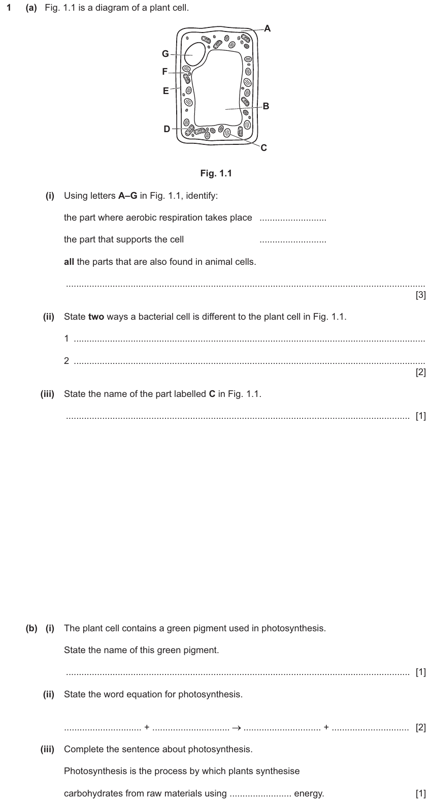 IGCSE 0654 Mar 2025 Paper 32 Question 1 — Photosynthesis