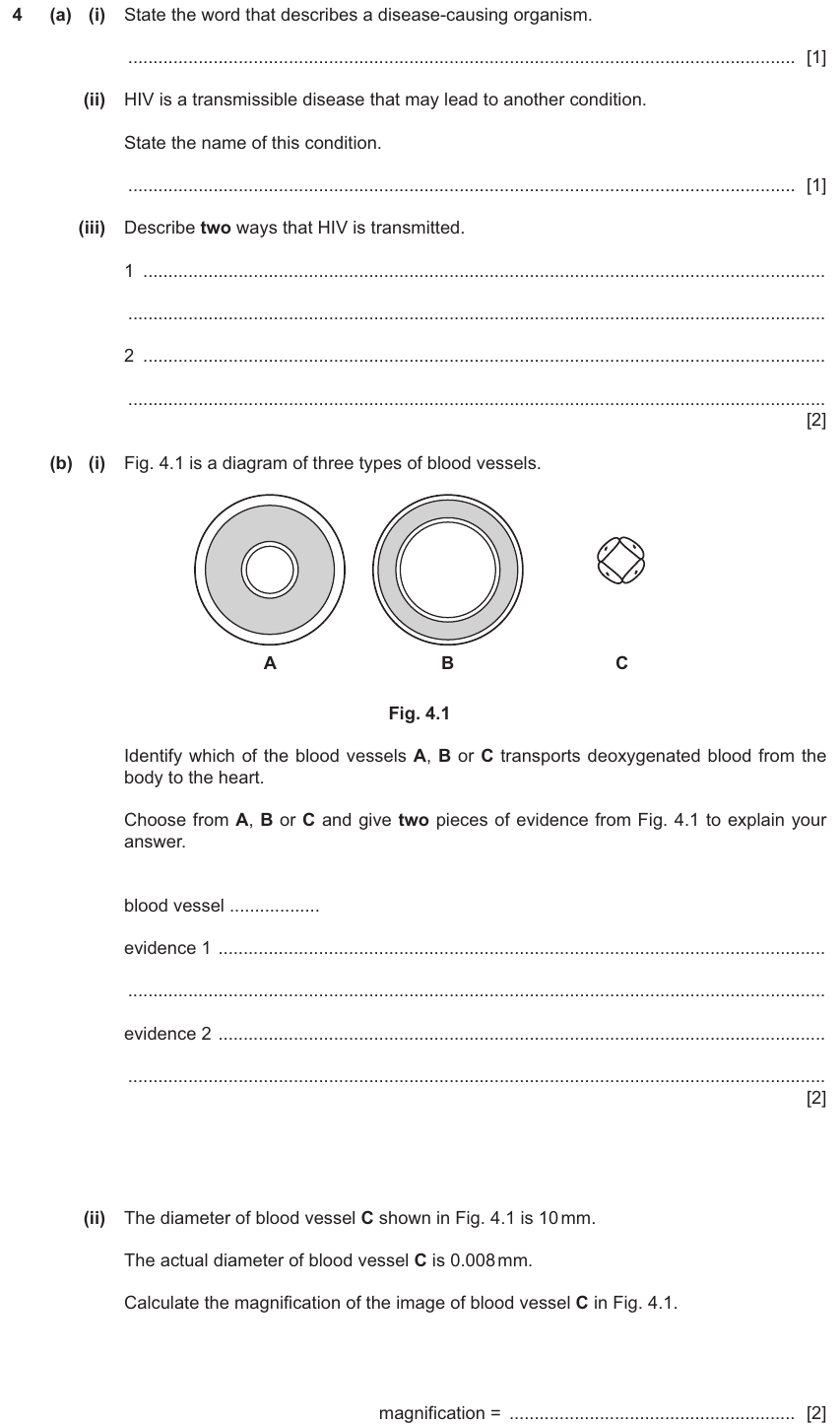 IGCSE 0654 Mar 2025 Paper 32 Question 4 — Blood vessels