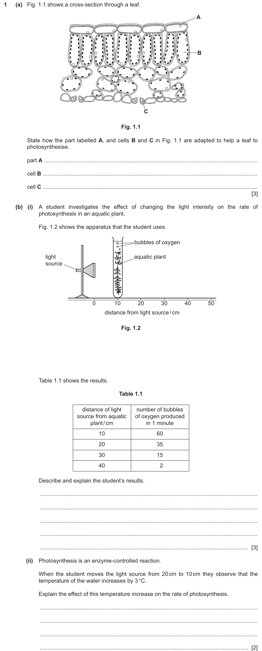 IGCSE 0654 Mar 2025 Paper 42 Question 1 — Photosynthesis