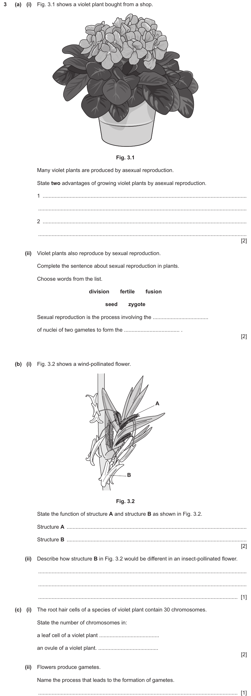 IGCSE 0654 Mar 2025 Paper 42 Question 3 — Asexual & sexual reproduction